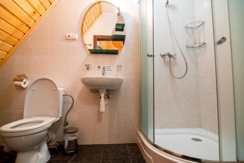 La salle de bains est pourvue de toilettes, d'un lavabo et d'une douche. dans l'établissement Karpatska Vezha, à Myhove