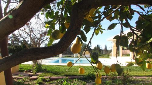 Πισίνα στο ή κοντά στο Villa Bulcrini
