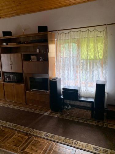 - un salon avec un canapé et une fenêtre dans l'établissement Vila Busteni DORA, locatie superba strada Grivitei 36, à Buşteni