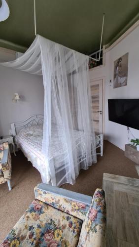 a bedroom with a bed with a mosquito net at DP Art Residence - self check in in Kaunas