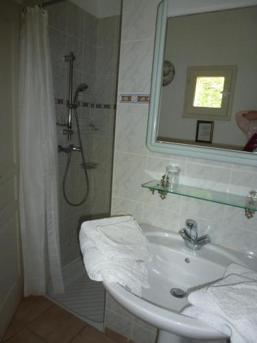 une salle de bain avec un lavabo et une douche avec un miroir dans l'établissement DOMAINE DU PLANAS - PATIO, à Ailhon
