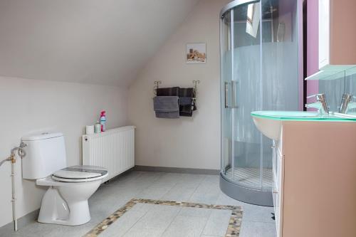 een badkamer met een douche, een toilet en een wastafel bij LA FERME DES NONAINS in Montjavoult