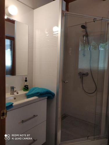 baño con ducha y puerta de cristal en Négy Évszak Apartmanház en Zalakaros