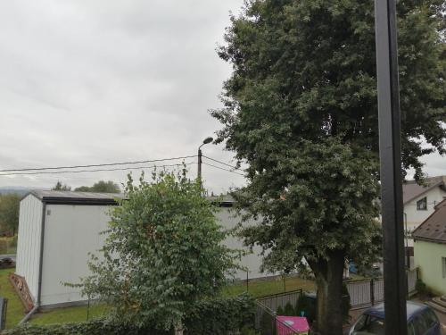 a white wall in a yard with a tree at Pokoje Gościnne u Marysi in Nowy Sącz