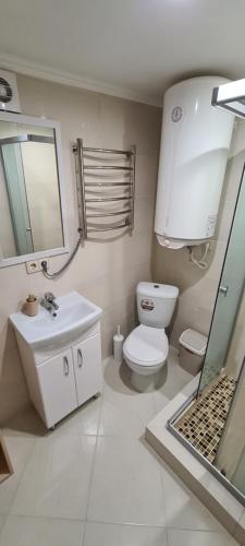 een badkamer met een toilet, een wastafel en een spiegel bij Аpartment for Lady in Tsjernivsi