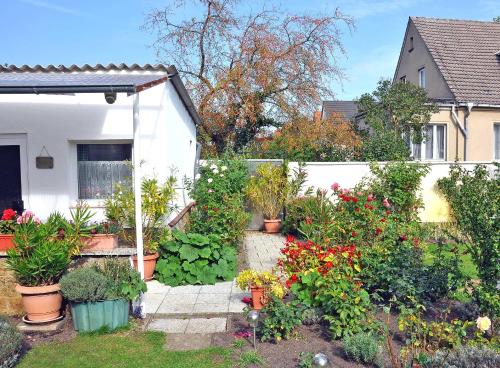 ヴァーレンにあるFerienhaus Waren SEE 3071の植物の家の前庭