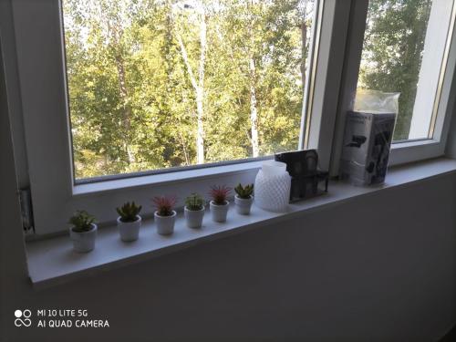 a white window sill with potted plants on it at Monteurwohnung-Workere's apartment-Gera in Gera