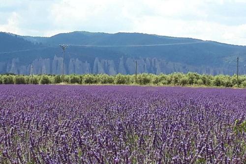 Φυσικό τοπίο κοντά σε αυτή η παραθεριστική κατοικία
