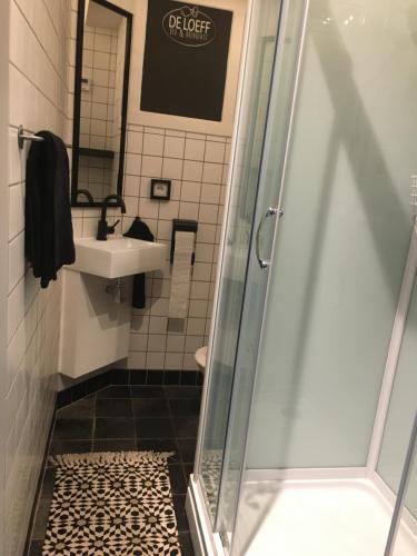 W łazience znajduje się prysznic i umywalka. w obiekcie B&B de Loeff w mieście Waalwijk