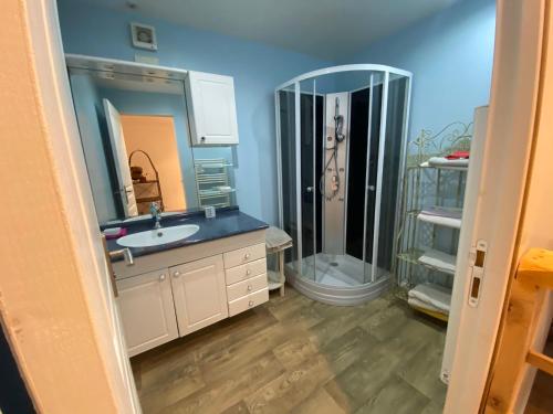 un bagno con lavandino e doccia di La Maison Lierue a Frétigny