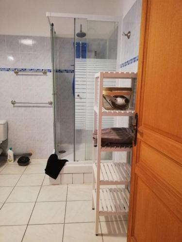 La salle de bains est pourvue d'une douche et d'une échelle. dans l'établissement F2 Saint Lambert Verdun, à Verdun-sur-Meuse