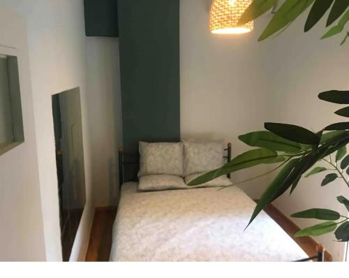 a room with a bed with a plant in the corner at Eleni's Central DownTown Quitness in Athens