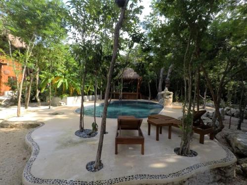 a swimming pool in the middle of a yard with trees at Tulum Nueve in Tulum