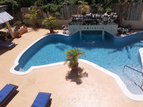 a swimming pool with a palm tree in a yard at Ltu Garden in Negril
