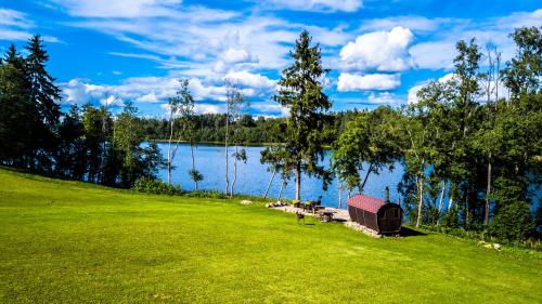 a large grassy field next to a body of water at Järveoru in Aidaku