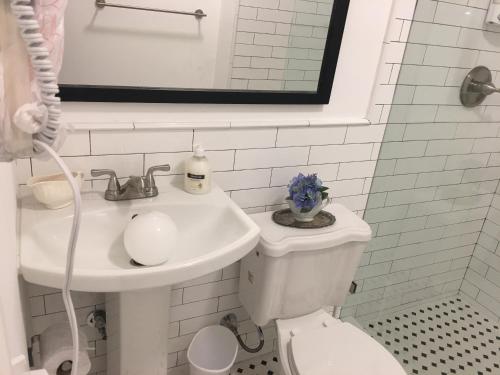 Ένα μπάνιο στο Private Studio blocks from Coconut Grove