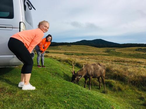 Gallery image of Golden King Guest in Nuwara Eliya