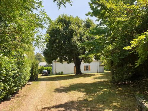 a house with a tree in the middle of a dirt road at La bergerie, maison spacieuse avec grand jardin, vue sur les Pyrénées in Lourdes