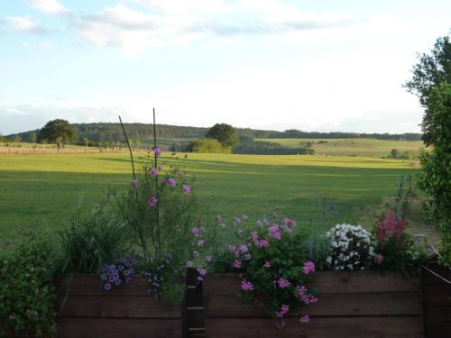 Taman di luar 'Chez Lulu' - Gîte cocon avec BAIN NORDIQUE et SAUNA en Ardenne