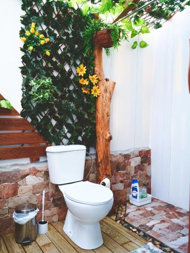 a toilet sitting on a porch with a plant at Casa do Mar - Nazaré in Nazaré