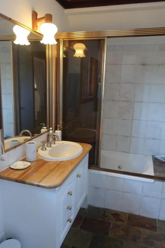 a bathroom with a sink and a bath tub at Ted and Stellas on Tamborine in Mount Tamborine