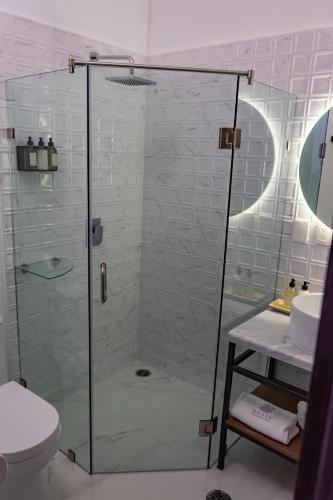 a bathroom with a shower with a toilet and a sink at Agata Hotel Boutique & Spa in Mexico City
