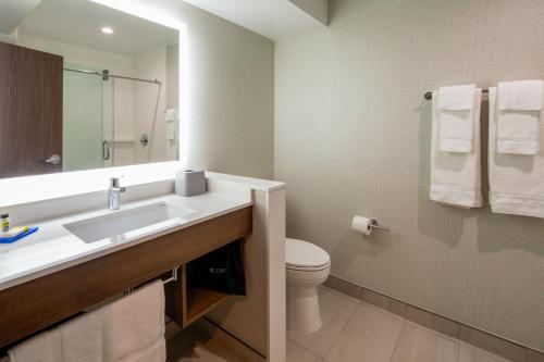Un baño de Holiday Inn Express & Suites Chatsworth by IHG