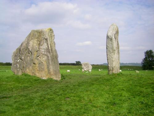a group of sheep grazing in a field with large rocks at Avebury Life in Avebury