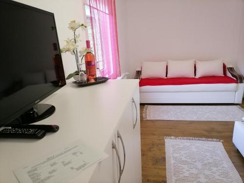 TV a/nebo společenská místnost v ubytování Pensiunea Izabel