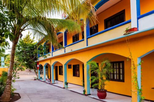 un bâtiment jaune avec des parures bleues et un palmier dans l'établissement OYO Hotel Miramar, Loreto, à Loreto