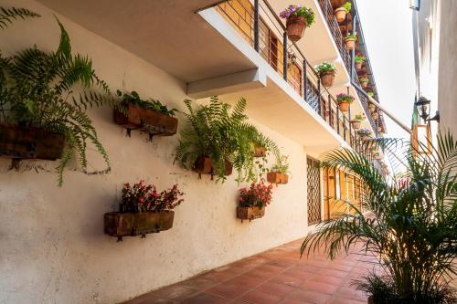 a hallway with potted plants on the wall at Hotel Rincon Soñado, Valle de Bravo in Valle de Bravo