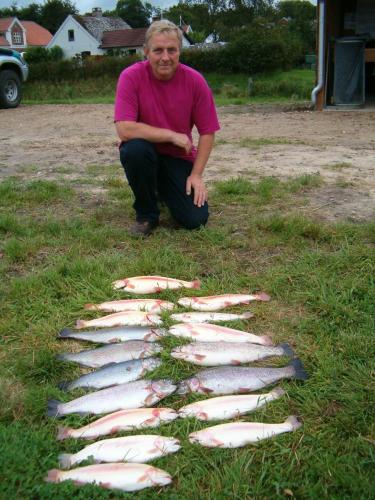 a man kneeling next to a row of fish on the grass at Holme Å Camping & Cottages in Hovborg