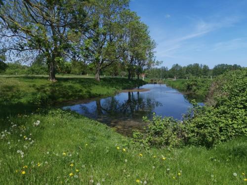 a river in a field with trees and grass at Gutshaus Thorstorf FeWo Wolenberger Wiek in Warnow