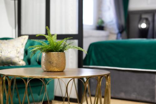 a potted plant sitting on a table next to a couch at DeZign Superior Apartments & Rooms in Zadar