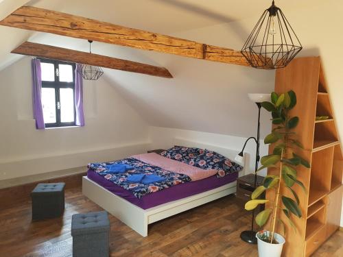 una camera con un letto di Apartmany 123 a Broumov