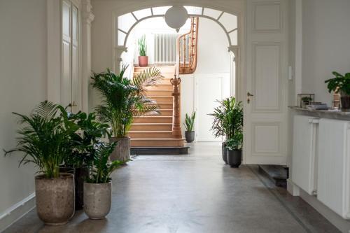 a hallway with potted plants and a staircase at B'Guest Sleep & Retreat in Bruges