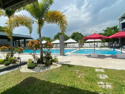 - une piscine entourée de palmiers et de parasols dans l'établissement L’HYACINTH Hotel and Resort, à Potrero