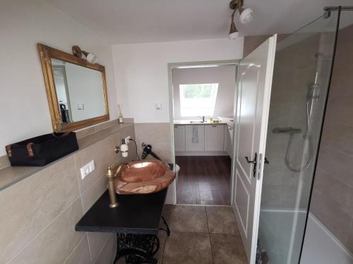 Vannituba majutusasutuses Alte Bäckerei