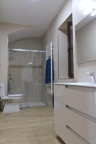 a bathroom with a sink and a toilet and a shower at Casa del maestro in Orbita
