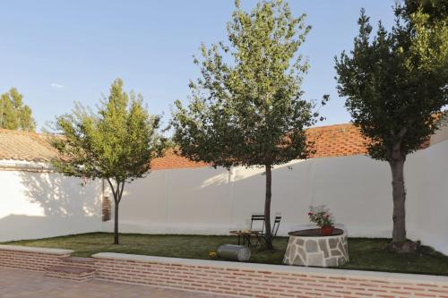 two trees in front of a white wall at Casa del maestro in Orbita