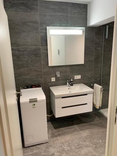 W łazience znajduje się umywalka i lustro. w obiekcie Gala Apartment am Kurpark w mieście Bad Rothenfelde