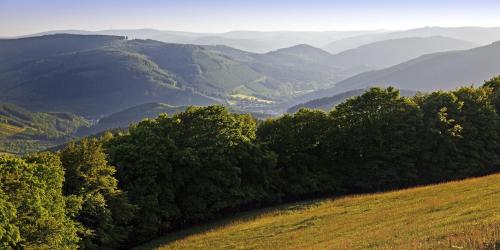 a hillside with trees and mountains in the background at Appartement Maya in Winterberg