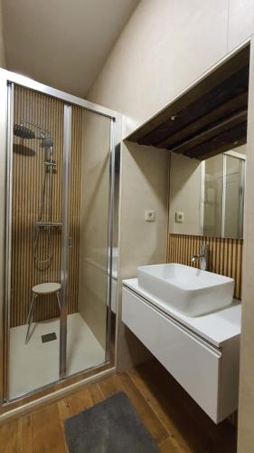 a bathroom with a sink and a shower and a mirror at Casas del Castillo, 2 in Ávila