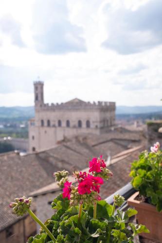 a pink flower on top of a building at Relais Ducale in Gubbio