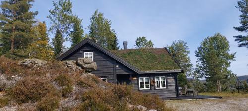 a small black house with a grass roof at Gautefall- High-standard cozy cabin with indoors whirlpool-tub and sauna in Treungen
