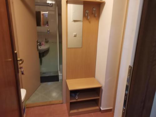 La salle de bains est pourvue d'une douche, de toilettes et d'un lavabo. dans l'établissement Apartma Gaber 80, à Zreče