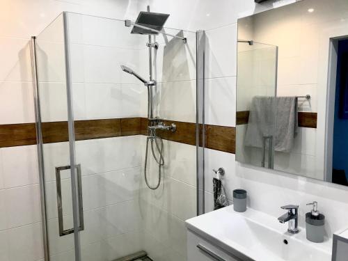 ein Bad mit einer Dusche und einem Waschbecken in der Unterkunft Apartament Julia in Skierniewice