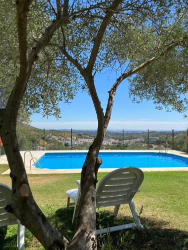 a tree and two chairs next to a swimming pool at El Molino de La Quinta in Constantina