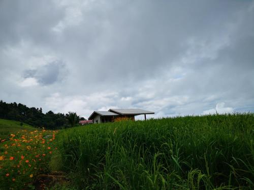 a house in the middle of a field with flowers at บ้านยอดแก้ว​ 360​ ​ํ​ ชีวิตริมนา​ ป่าบงเปียง in Mae Chaem