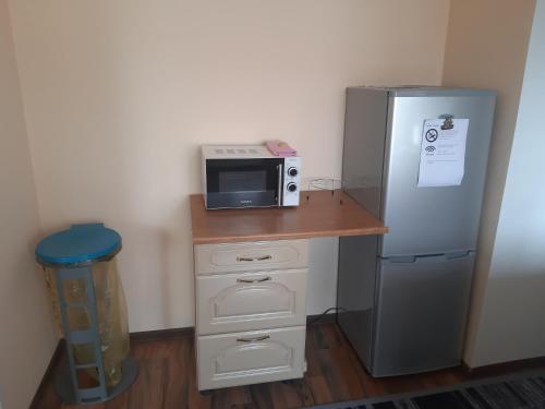 a kitchen with a microwave and a refrigerator at 1 Zimmer Wohnung für 1-2 Gäste in Gößnitz